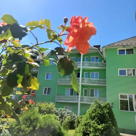 квітка закарпаття Hotel Polyana (Transcarpathia)