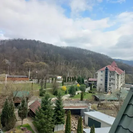 квітка закарпаття