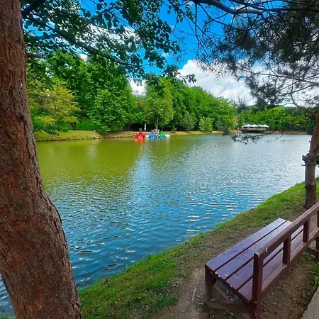 квітка закарпаття Hotel Polyana (Transcarpathia)