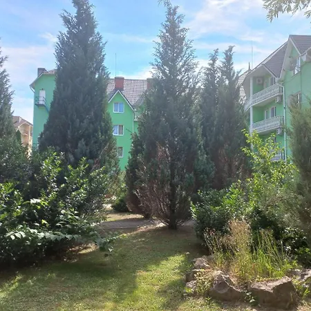 квітка закарпаття 4*