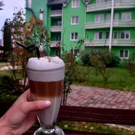 квітка закарпаття Hotel
