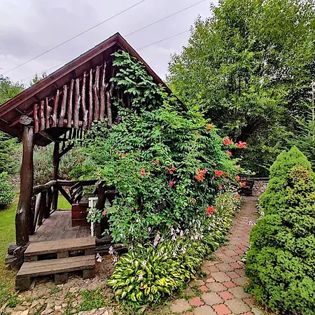 квітка закарпаття Hotel Polyana (Transcarpathia)