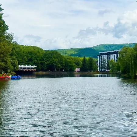 Hotel квітка закарпаття Polyana (Transcarpathia)