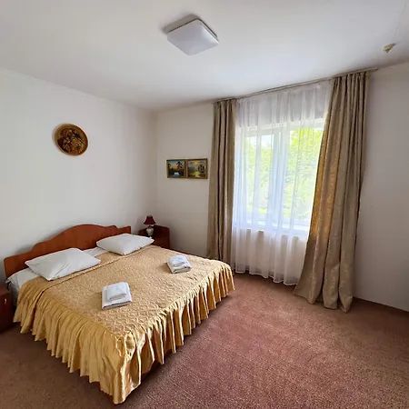 квітка закарпаття Hotel