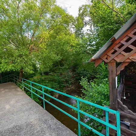 квітка закарпаття Hotel