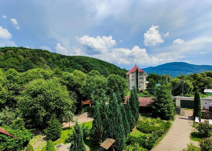 квітка закарпаття 酒店 4*