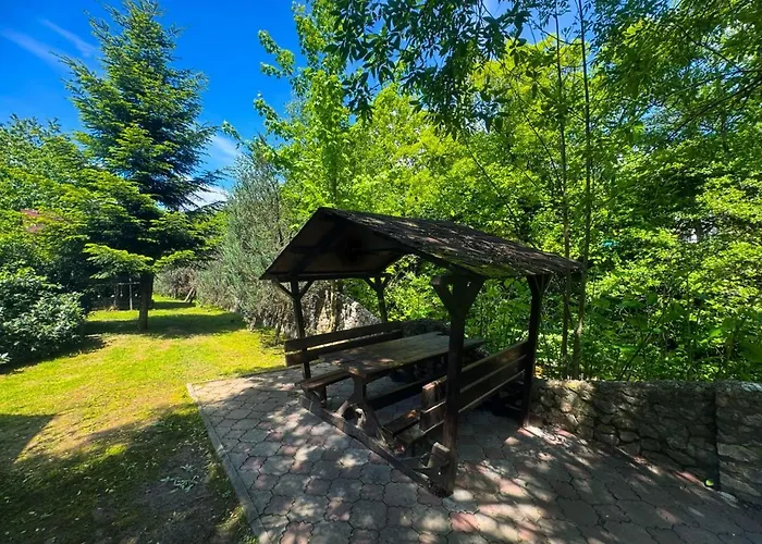 квітка закарпаття 酒店 4*