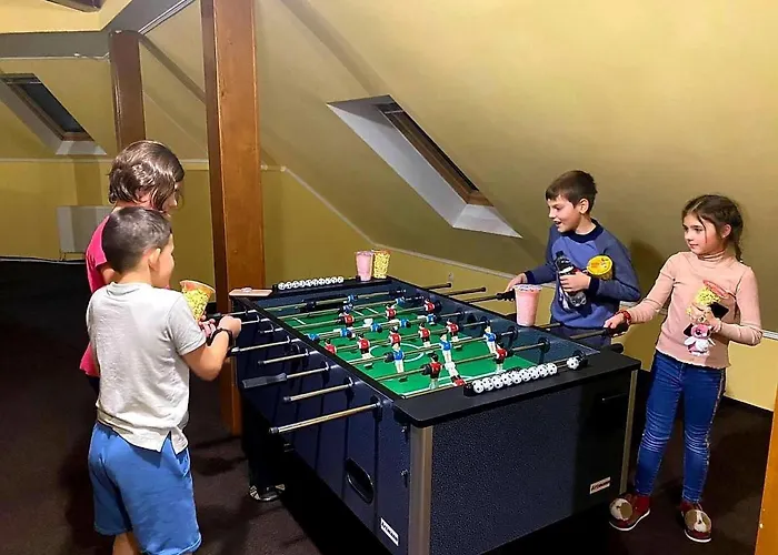 квітка закарпаття 酒店 4*