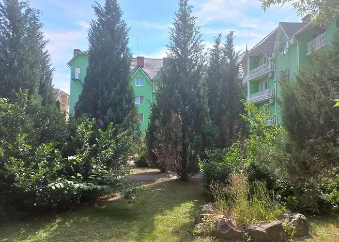 квітка закарпаття 4*