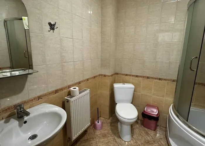 酒店 квітка закарпаття 4*