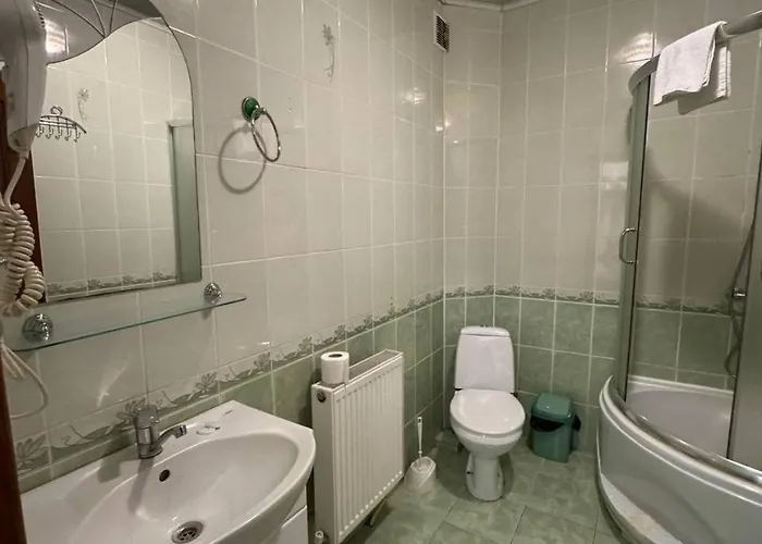 квітка закарпаття 酒店 4*