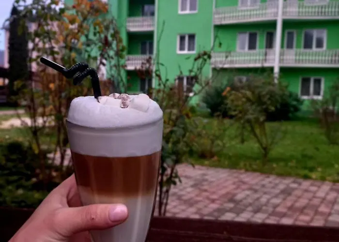 квітка закарпаття 酒店