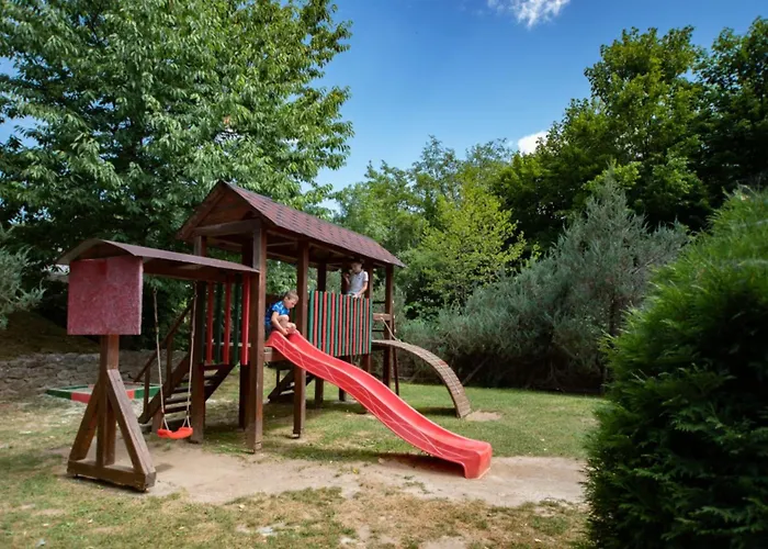 酒店 квітка закарпаття 4*