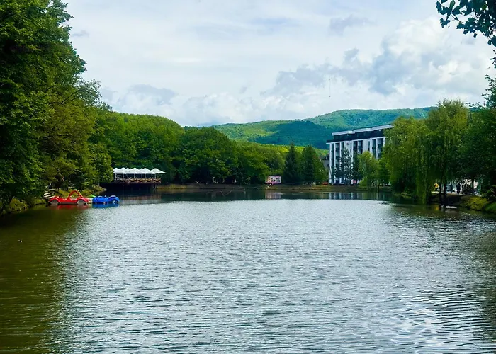 酒店 квітка закарпаття 波利亚纳