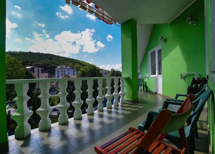 квітка закарпаття 4*